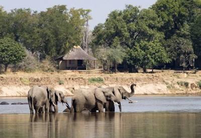 South Luangwa, Nkwali Camp