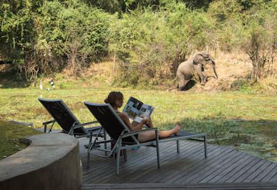 Relaxing at Nkwali while reading