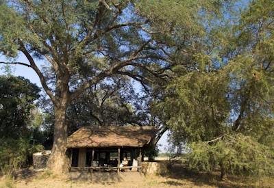 Luangwa Walking Safari