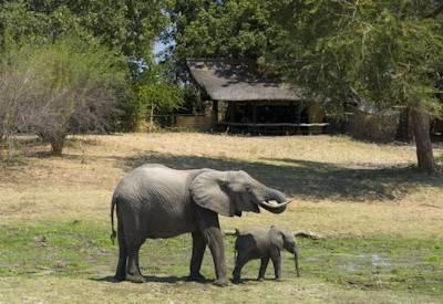 Lower Zambezi National Park