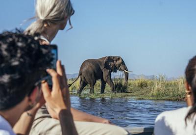 Safari activities on the Mighty Zambezi