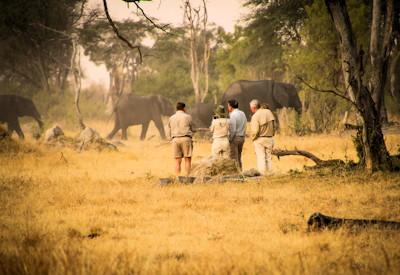 Hwange National Park