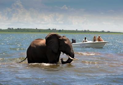 Lake Kariba