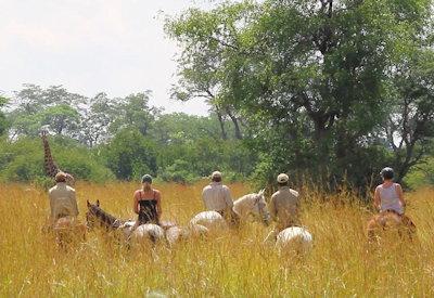 Horseback safaris in the Hwange
