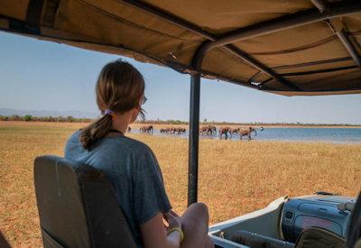 Game drives in the Matusadona National Park