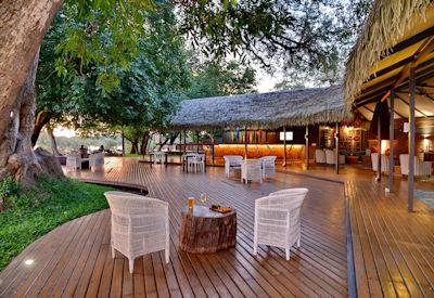Wooden dining deck under canopy of trees