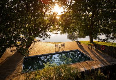 A swimming pool in a birder's paradise