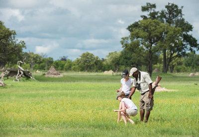 Hwange National Park game viewing