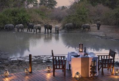 Wildlife at Kanga Pan