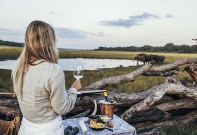 Visit the painted dog conservation centre