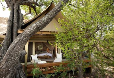 Luxury tented suites position in privacy