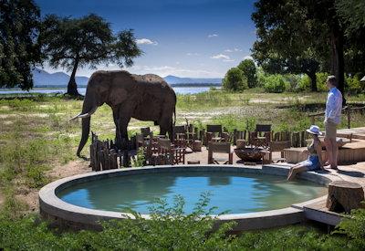 Excellent Mana Pools National Park wildlife