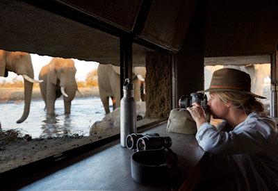 Spectacular wildlife sightings