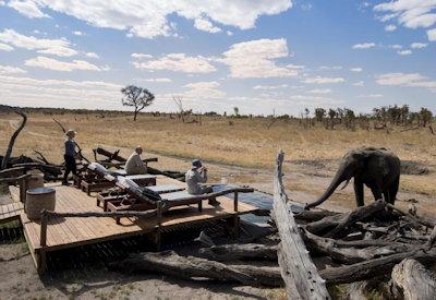 Hwange safari activities and wildlife