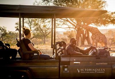 Safari activities and game drives