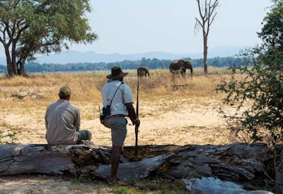 Surrounded by a thick riverine forest