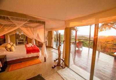 Large elephant safari suites