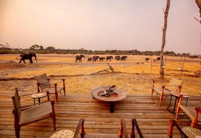 Hwange elephants seen from the camp