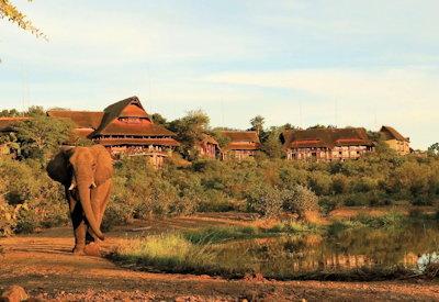 Waterhole at sunset