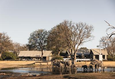 One family tent within the national park