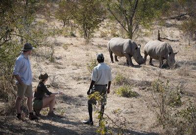Mighty Zambezi River walking safari