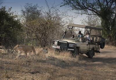 Mana Pools National Park game drive