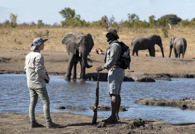 Hwange National Park walking safari