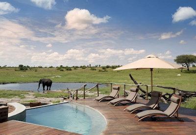Zimbabwe Hwange National Park Safari
