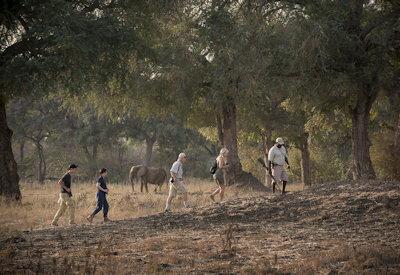 Zambezi walking safari
