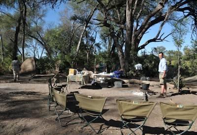 Wildlife camping expedition
