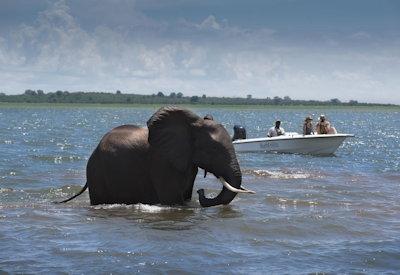 Lake Kariba Luxury Safari