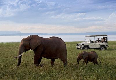 Zimbabwe Luxury Safari