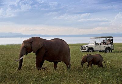 Zimbabwe Lake Kariba game drive