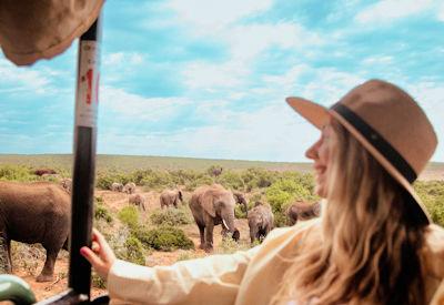 Addo Elephant Lodges