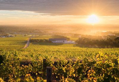 Constantia Hotels