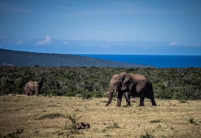 Eastern Cape Travel
