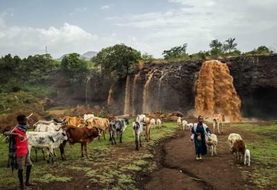 Ethiopia Safaris