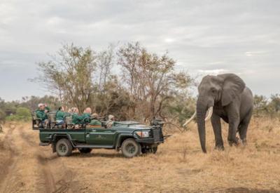 Karongwe Lodges