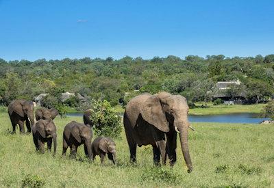 An good Kruger National Park Map