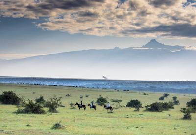 Laikipia Lodges