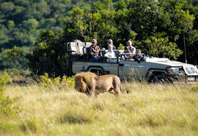 Lalibela Lodges