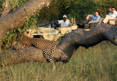 Manyeleti Lodges