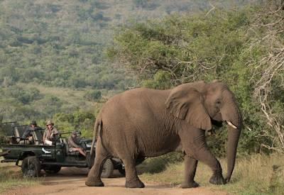 Natal Safaris