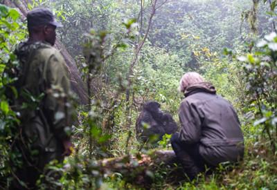 Rwanda Travel Guide