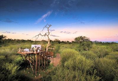 South Africa Safari Packages