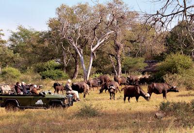 South Africa Safari Planner