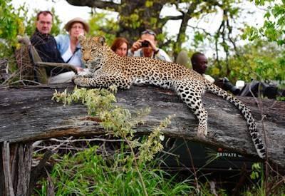 South Africa Safaris