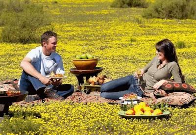 South Africa Self Drive Safaris