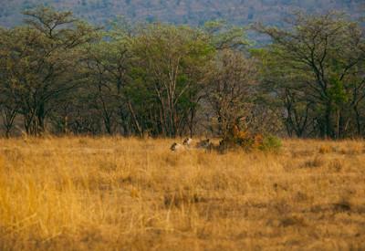 Waterberg