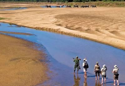 Zambia Safaris